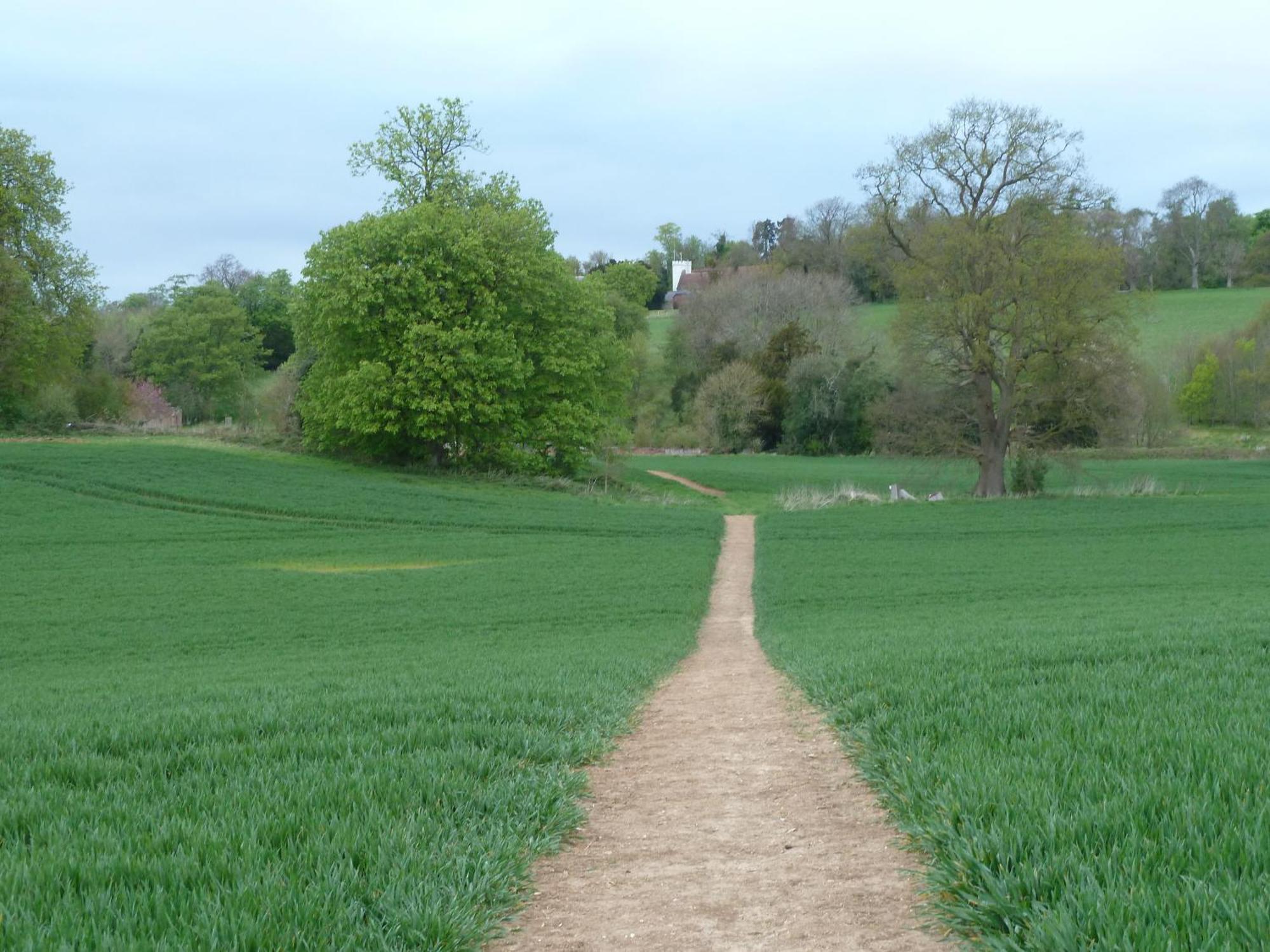 Palace Farm Courtyard And Granary Rooms Doddington  エクステリア 写真